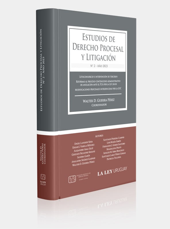 ESTUDIOS DE DERECHO PROCESAL Y LITIGACIÓN. N° 2 - 2023