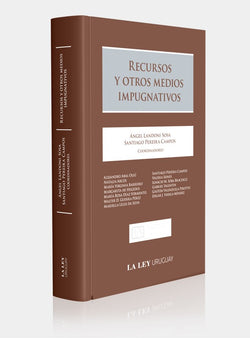 RECURSOS Y OTROS MEDIOS IMPUGNATIVOS