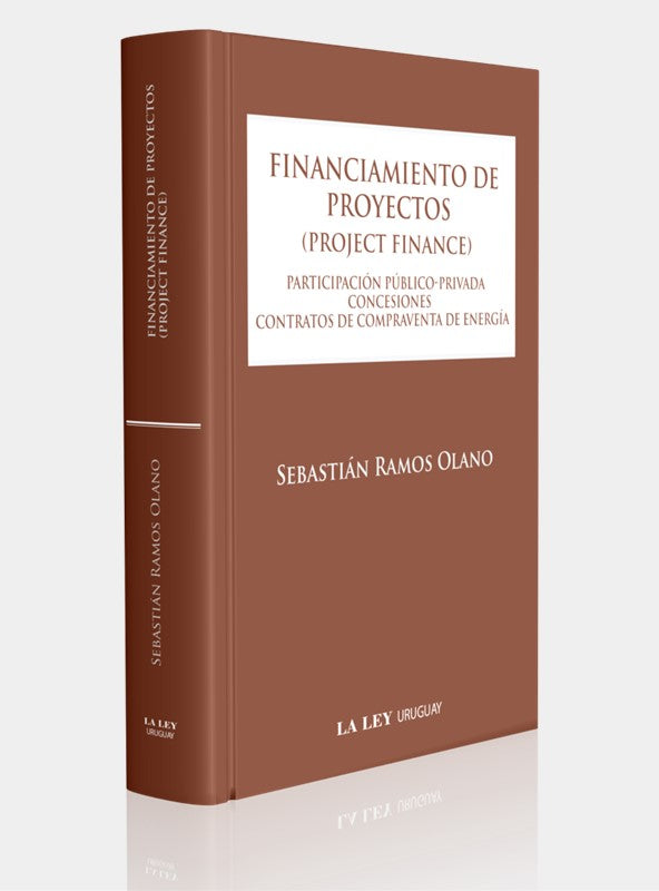 FINANCIAMIENTO DE PROYECTOS (PROJECT FINANCE)