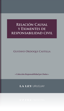 RELACIÓN CAUSAL Y EXIMENTES DE RESPONSABILIDAD CIVIL